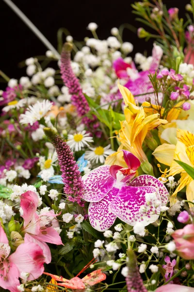 stock image Bouquet of colorful flowers