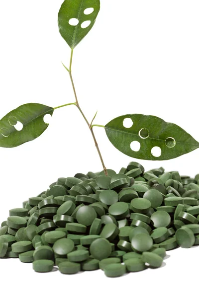 スピルリナ タブレットと緑の植物 — ストック写真
