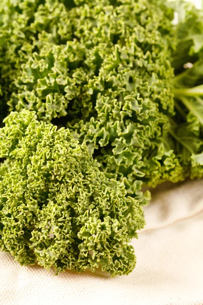 Fresh kale — Stock Photo, Image