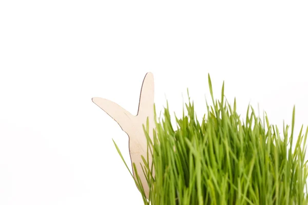 Påsk kanin på gräs — Stockfoto