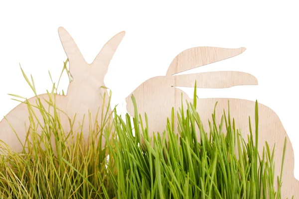 Påsk kaniner på gräs — Stockfoto