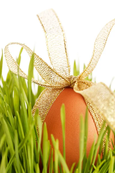 Easter egg in the grass — Stock Photo, Image