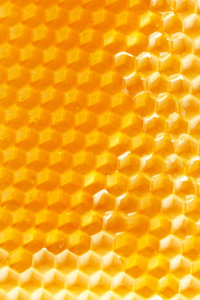 Miel frais en peigne — Photo