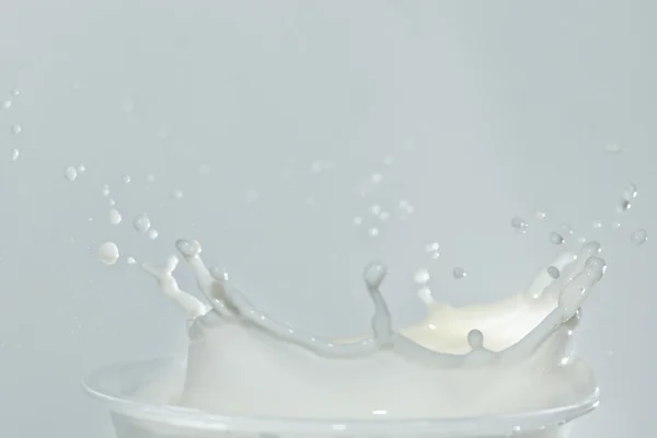 Spritzer in einem Milchglas — Stockfoto