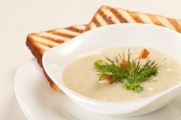 stock image Mushroom soup