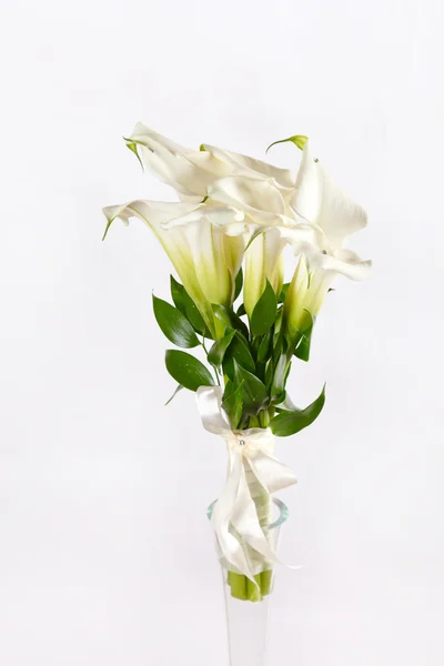 Flores de calla — Fotografia de Stock