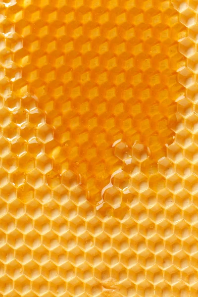 Fresh honey in comb — Stock Photo, Image