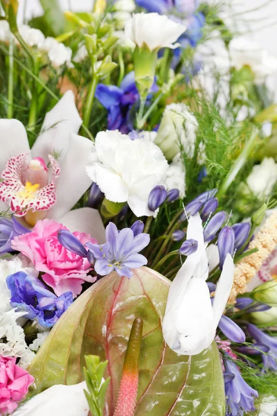 Bukiet z kolorowych kwiatów — Zdjęcie stockowe