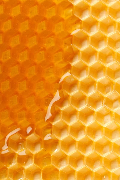 新鲜蜂蜜在梳子 免版税图库图片