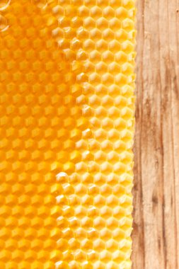Fresh honey in comb clipart