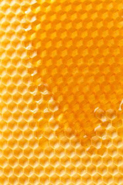 Fresh honey in comb clipart