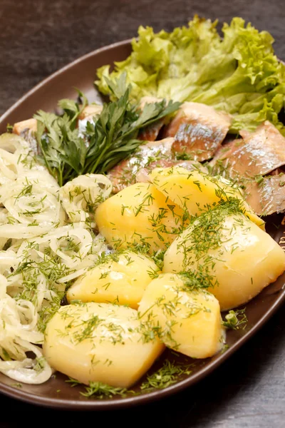 Matjes met aardappelen — Stockfoto