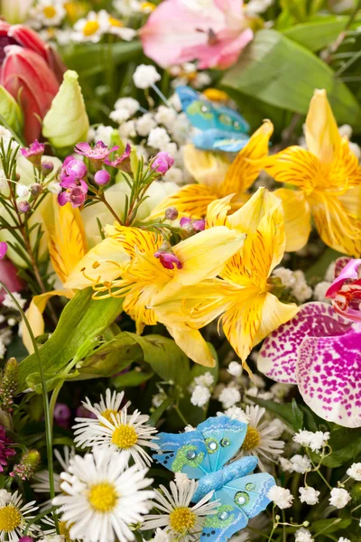 Kimppu värikkäitä kukkia — kuvapankkivalokuva
