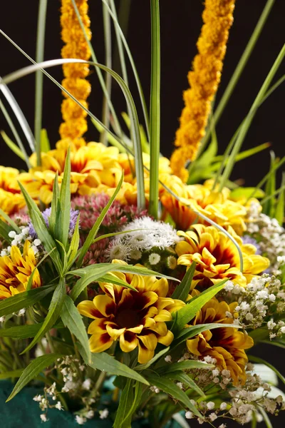 Szép virágok — Stock Fotó