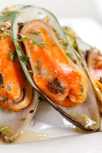 stock image Mussels with zucchini