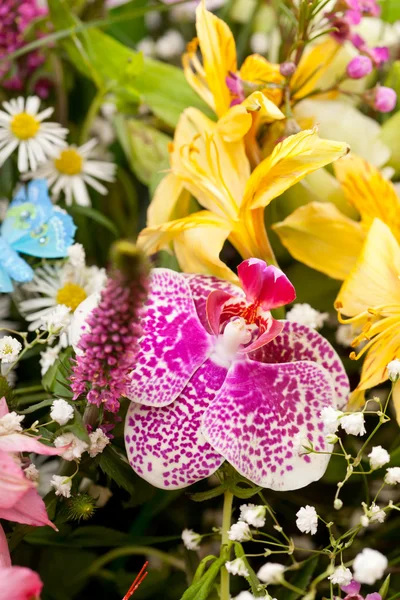 Μπουκέτο των ζωηρόχρωμων λουλουδιών — Φωτογραφία Αρχείου