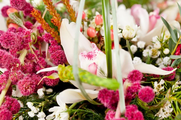 Blommor i korgen — Stockfoto