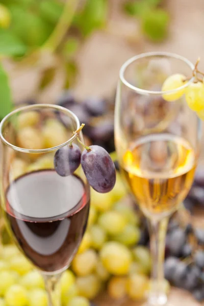 Pobieranie próbek wina — Zdjęcie stockowe