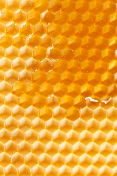 Miele fresco in pettine — Foto Stock