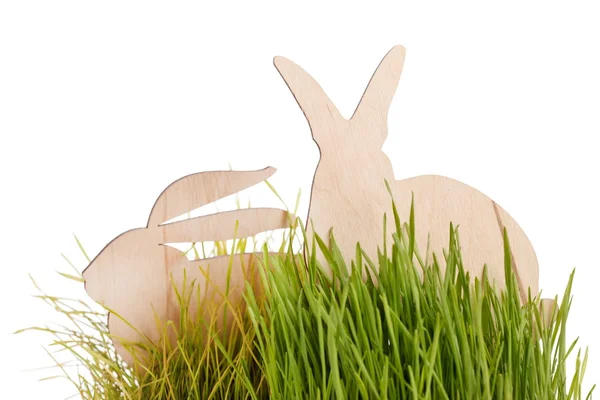 stock image Easter rabbits on grass