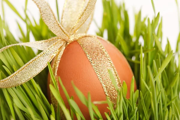 Velikonoční vajíčko v trávě — Stock fotografie