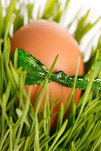 Velikonoční vajíčko v trávě — Stock fotografie