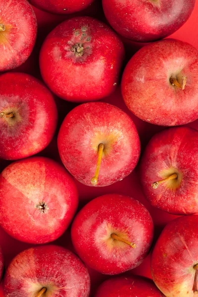 Bakgrund med färska röda äpplen — Stockfoto