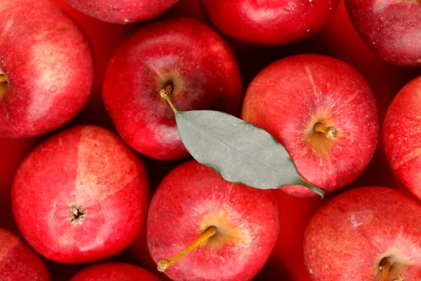 Fundo com maçãs vermelhas frescas — Fotografia de Stock
