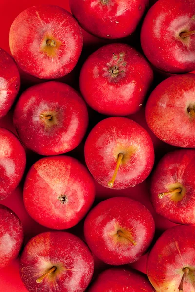 Pozadí s čerstvými červenými jablky — Stock fotografie