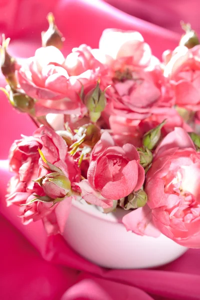 stock image Pink roses