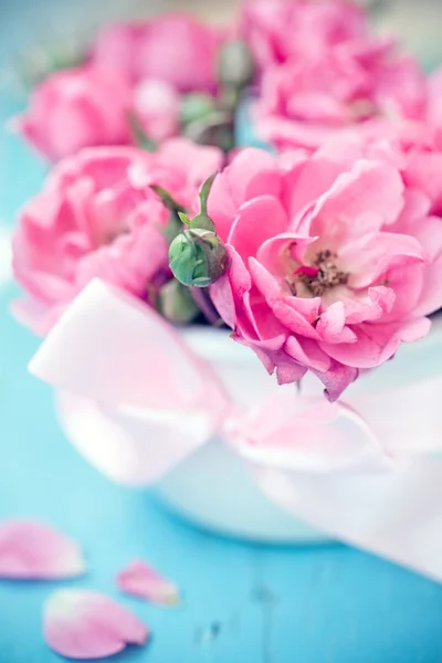 Bonitas flores —  Fotos de Stock