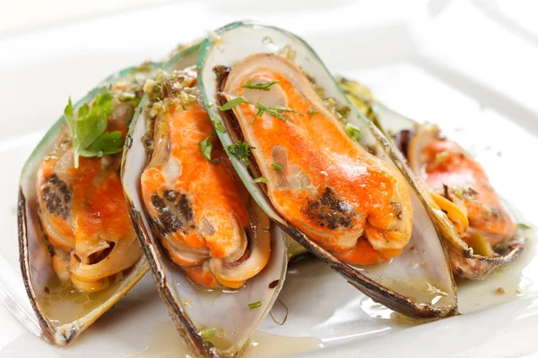 stock image Mussels with zucchini