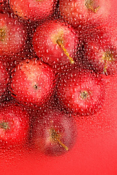 Sfondo con mele rosse fresche — Foto Stock