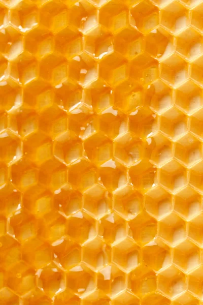 新鲜蜂蜜在梳子 图库图片