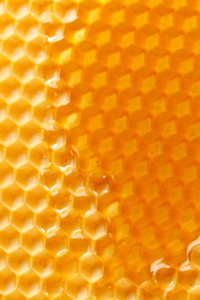 Färsk honung i kam Stockbild