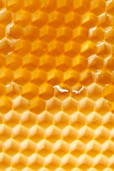 Frischer Honig in Waben — Stockfoto