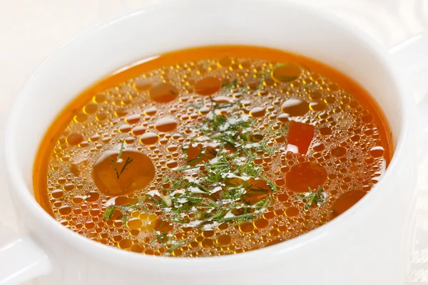 Taze sebze çorbası — Stok fotoğraf