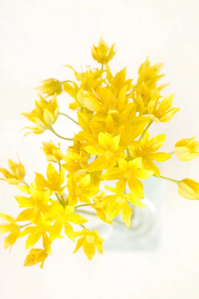 stock image Yellow flowers in the vase