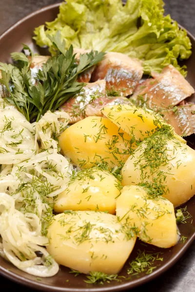 Matjes med potatis — Stockfoto