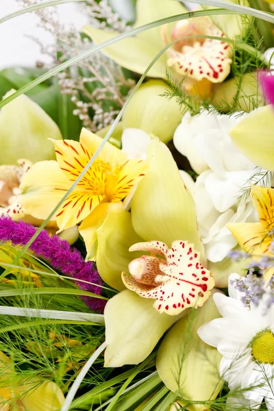 Krásná kytice — Stock fotografie