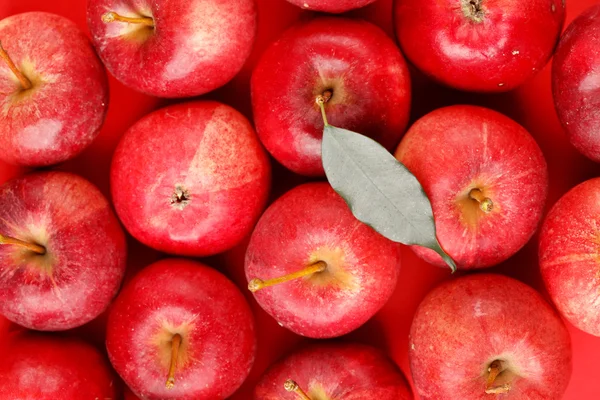 Taze kırmızı elmalı arkaplan — Stok fotoğraf