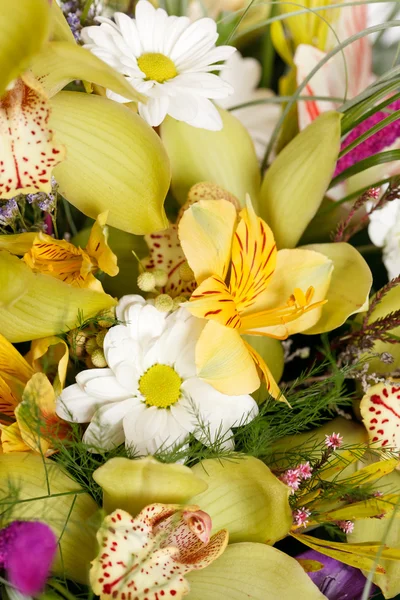 Beautiful bouquet — Stock Photo, Image