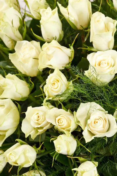 Białe róże — Zdjęcie stockowe