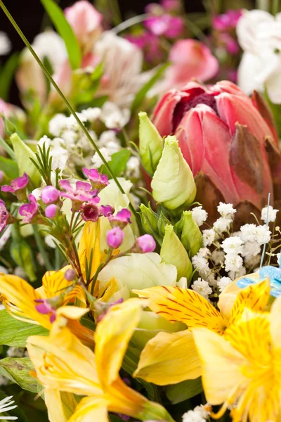 Bukett av färgglada blommor — Stockfoto