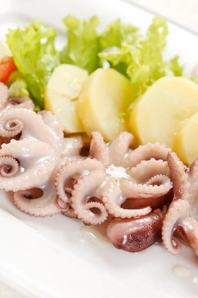 Octopus with potatoes — Stock Photo, Image