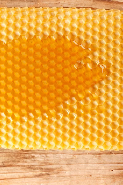 新鮮な蜂蜜の櫛で — ストック写真