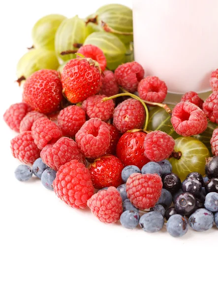 stock image Different kinds of berries