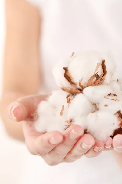 stock image Young woman with cotton flowers