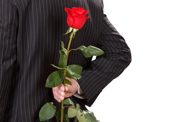 Людина з червоною трояндою — стокове фото