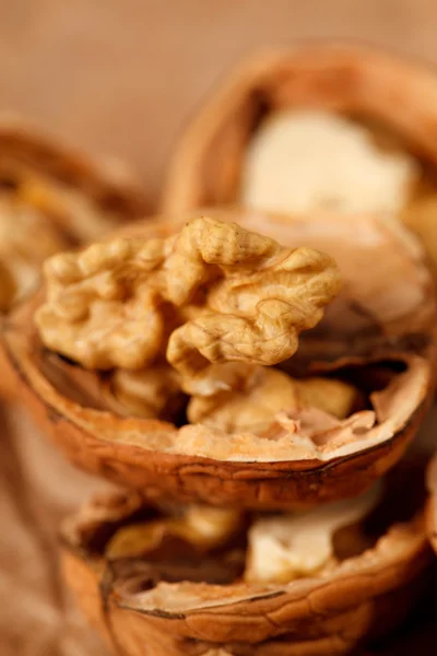 stock image Walnuts on the table